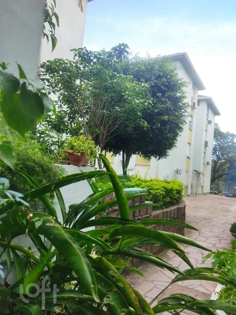 Image 17 - 243516